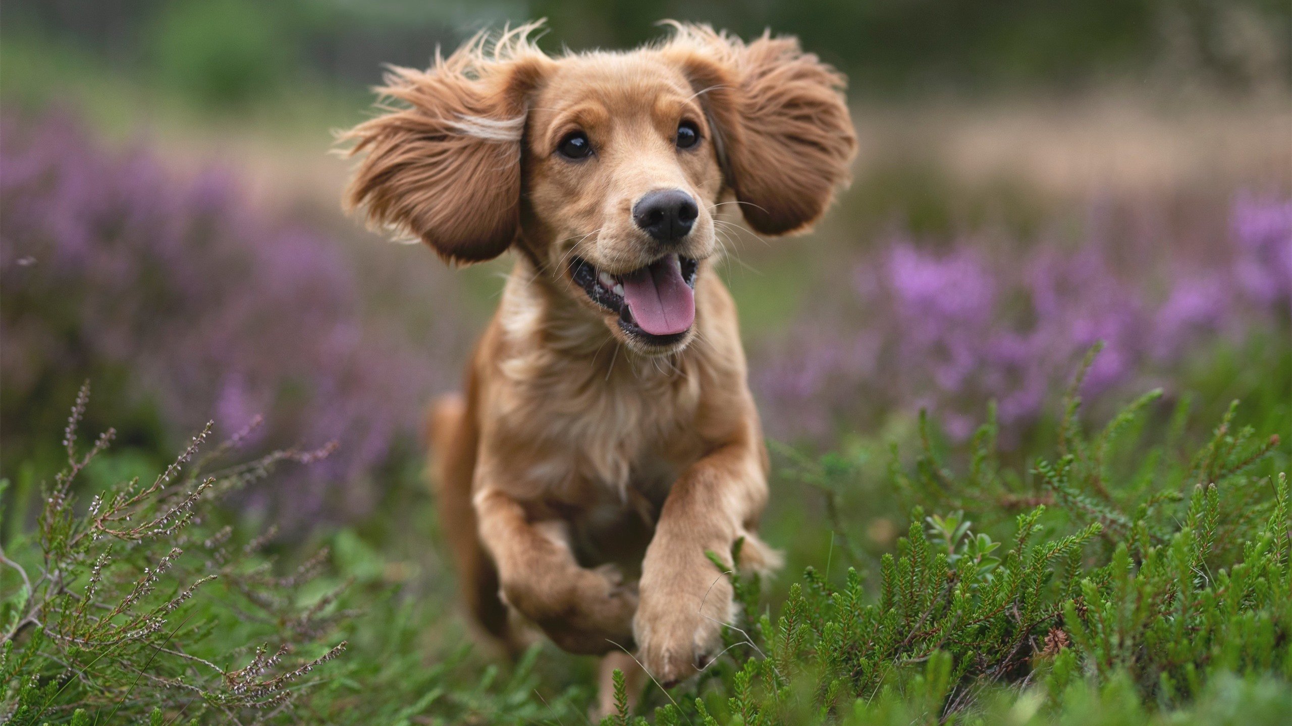 _城市天际线穿越：虚拟现实中的极速争霸_，城市天际线路线规划