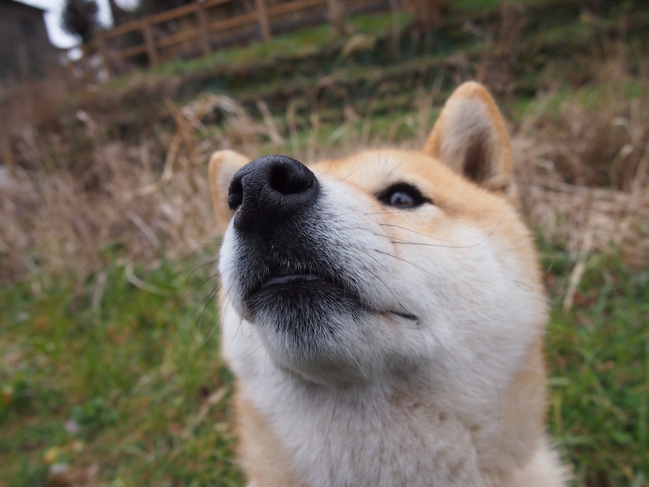 _库里三分神手，再现王牌风采_，库里三分讲解