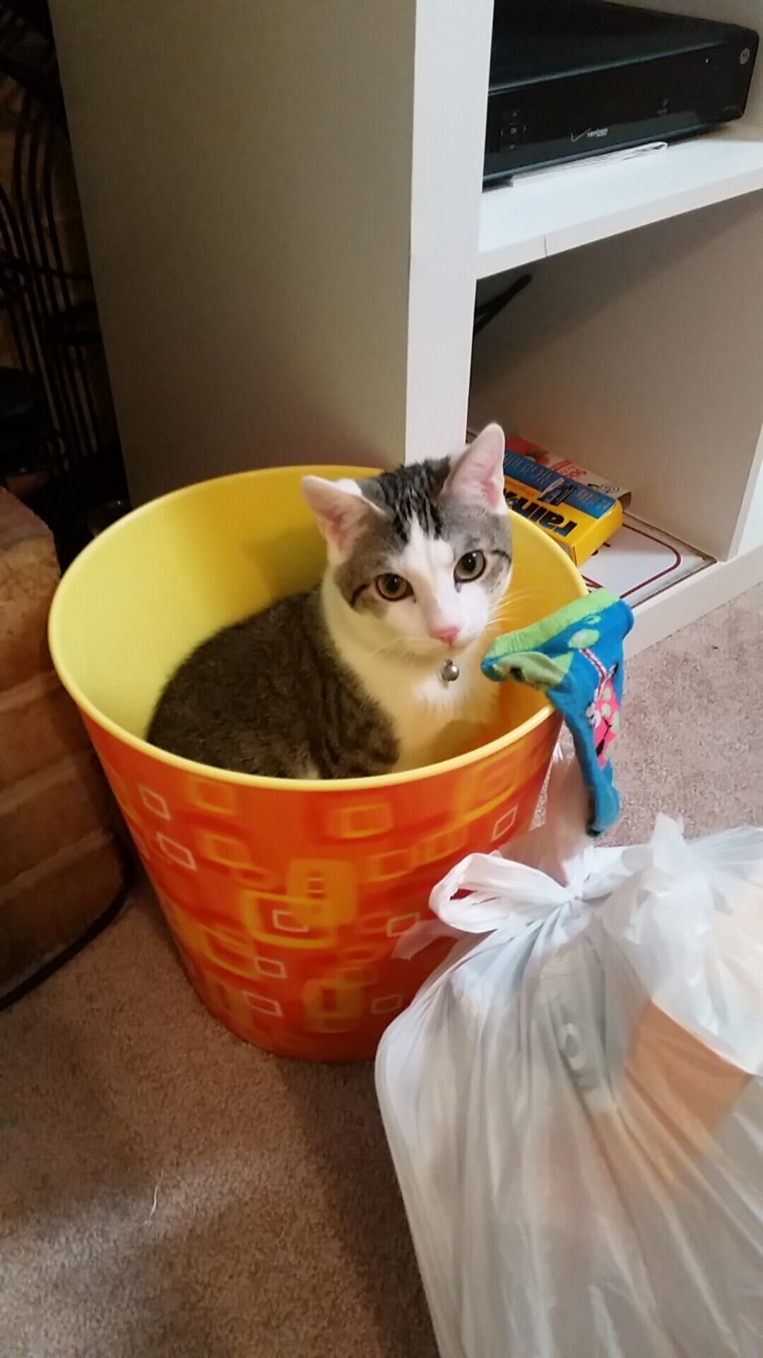 世俱杯足球赛事在线直播-“意甲强大阵容持续发力，豪门望尘莫及”，意甲各队最新关系