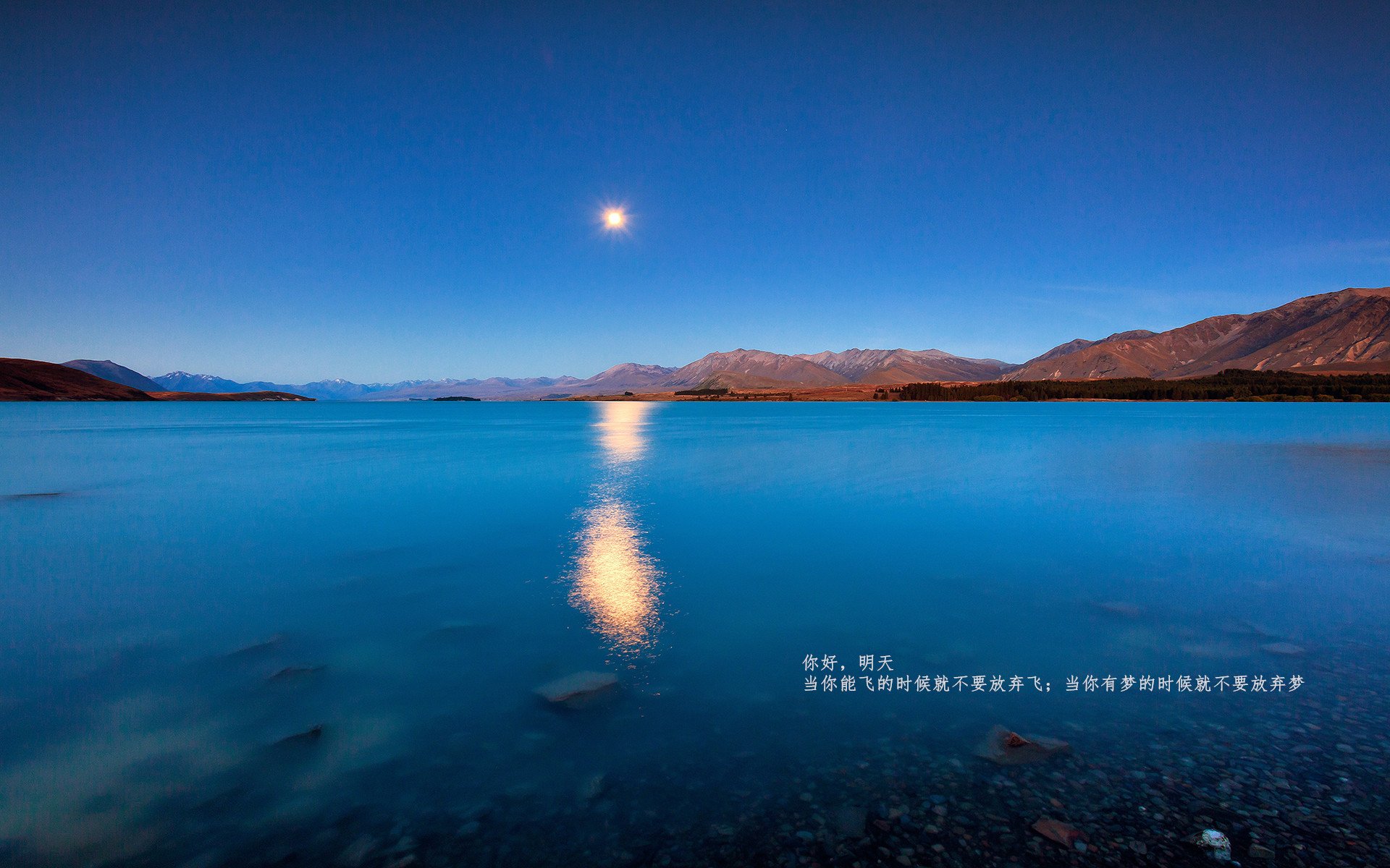 世俱杯2025全程直播-《《守望先锋》推出新赛季，加入“未来战士”特色皮肤》，守望先锋年度游戏版新皮肤