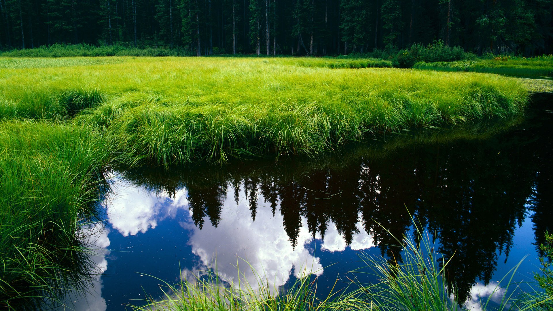 世俱杯比赛视频在线观看-【从规则到战术】掌握比赛技巧的全攻略，比赛规程和规则有什么区别