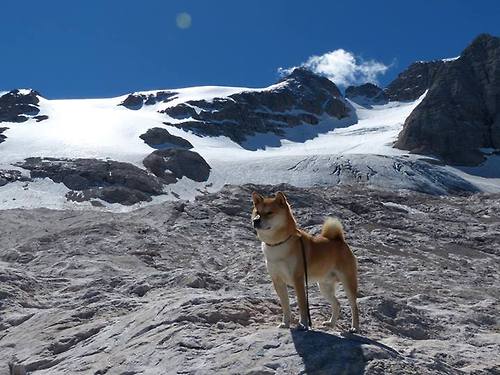 勇士在第四节突然爆发,库里连续投中几记关键远三,带领球队逆转战局!