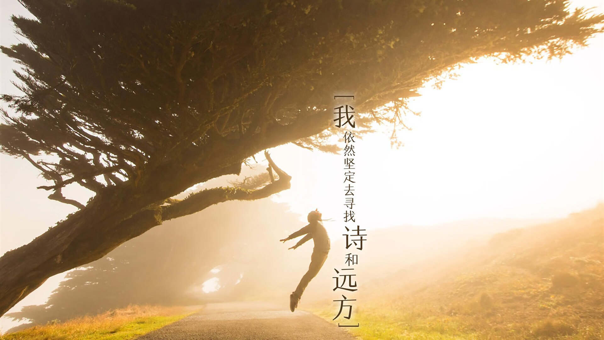 世俱杯2025全程直播-哥伦比亚女足在巴黎奥运会比赛中以3-0战胜美国，哥伦比亚足球美女