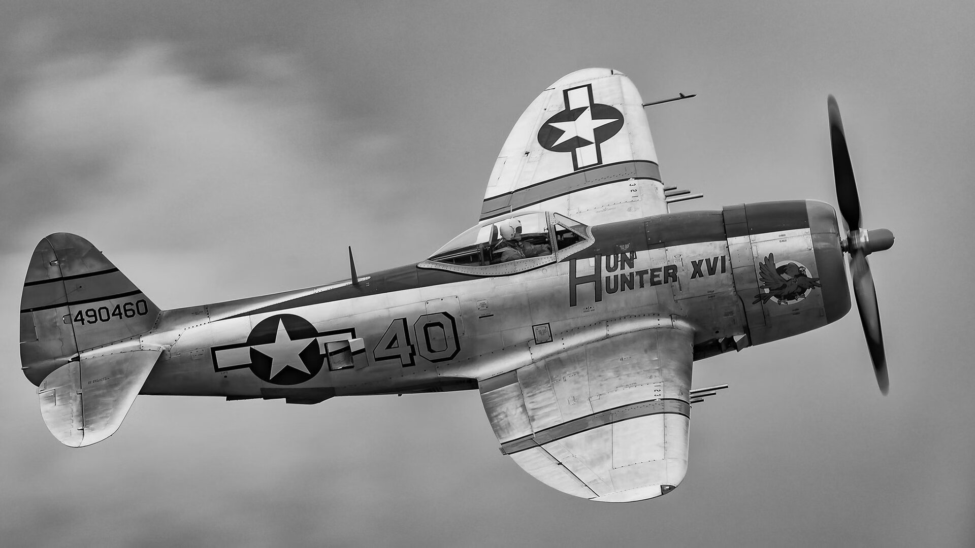 巴西马术协会与法国马术协会合作，举办国际马术研讨会，促进学术交流。