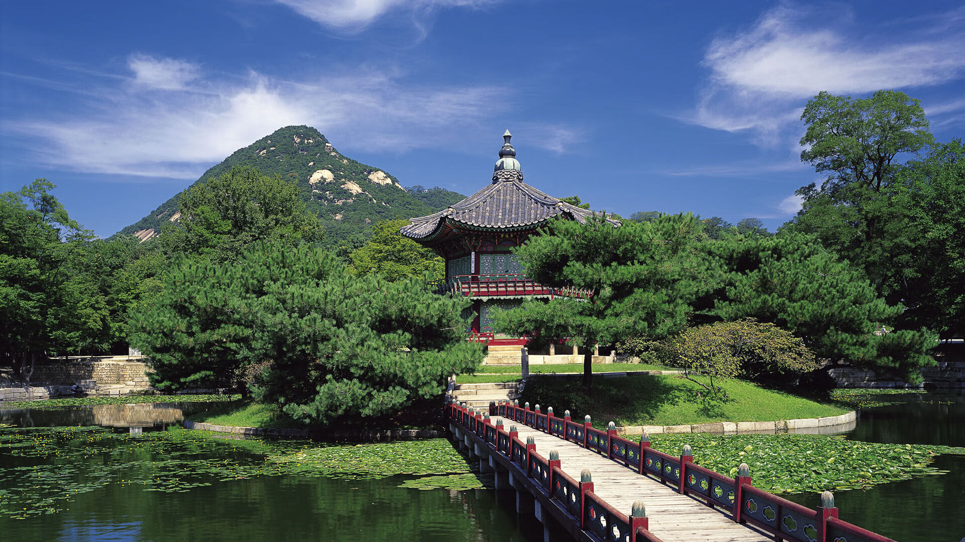 世界俱乐部杯-广场舞提升市民幸福感，广场舞丰富群众文化生活