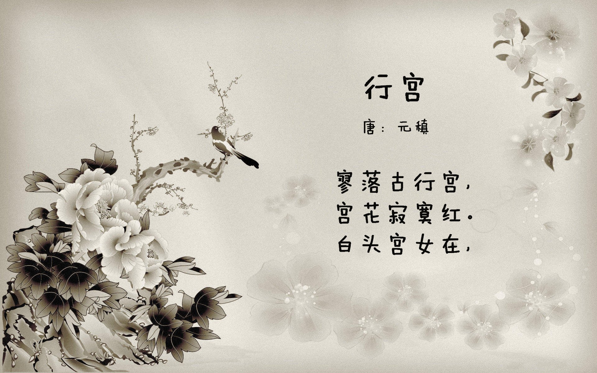 广场舞提升市民幸福感,广场舞丰富群众文化生活