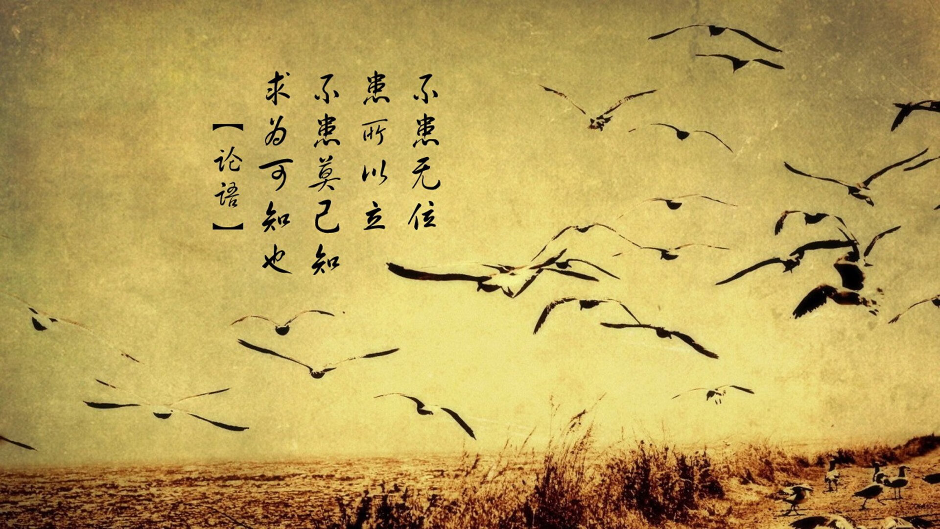 法甲各豪门争夺市场份额,增强品牌影响力,法甲榜首