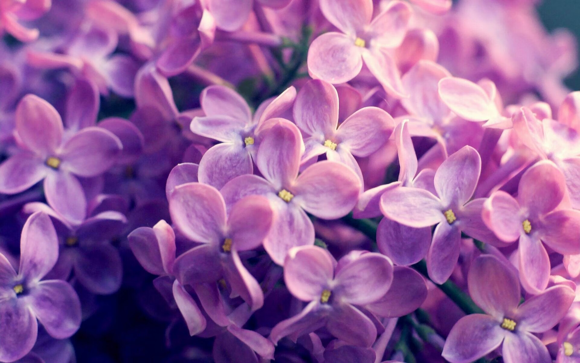 法国男篮在奥运热身赛中展现进攻多样性,法国男篮奥运冠军