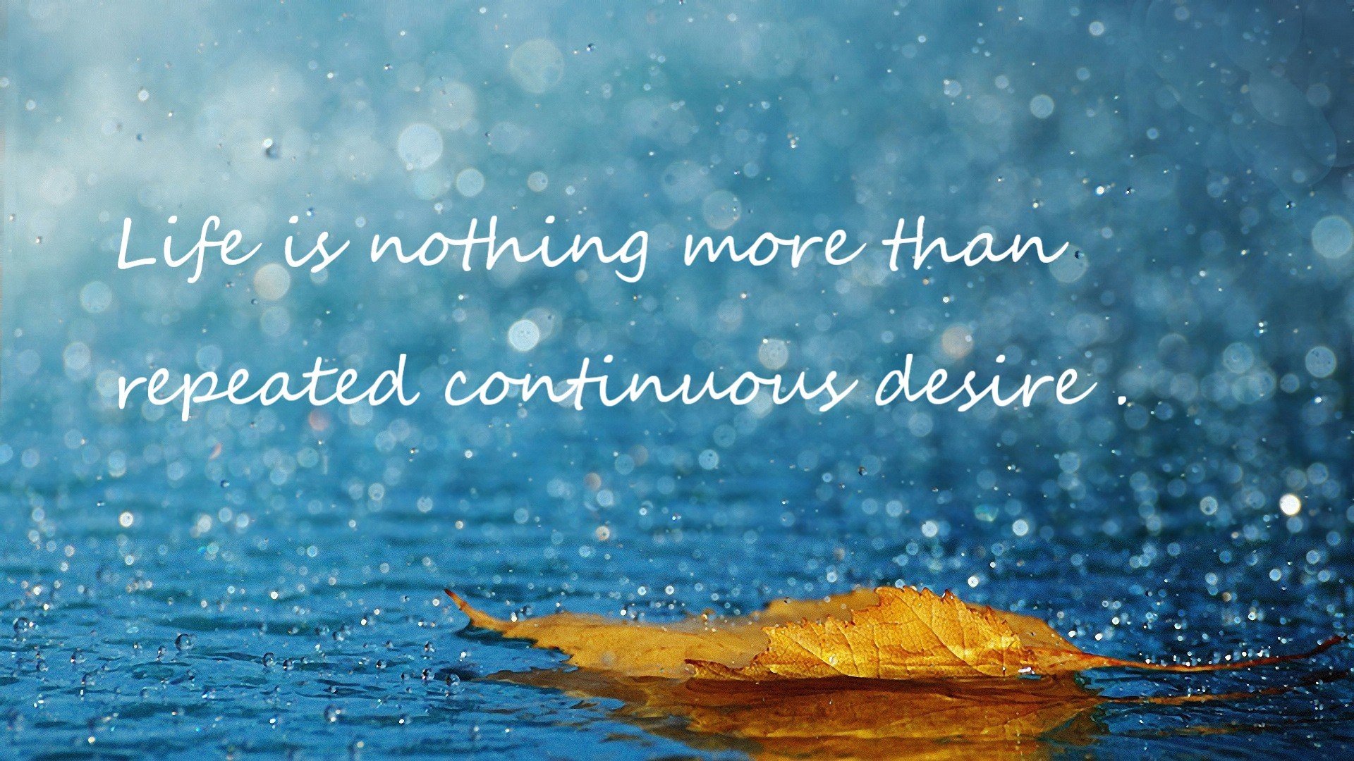 女足联赛竞技水平持续攀升,女足 比赛