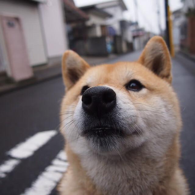 文莱女足队凭借团队合作,击败对手,文莱国家队vs中国队