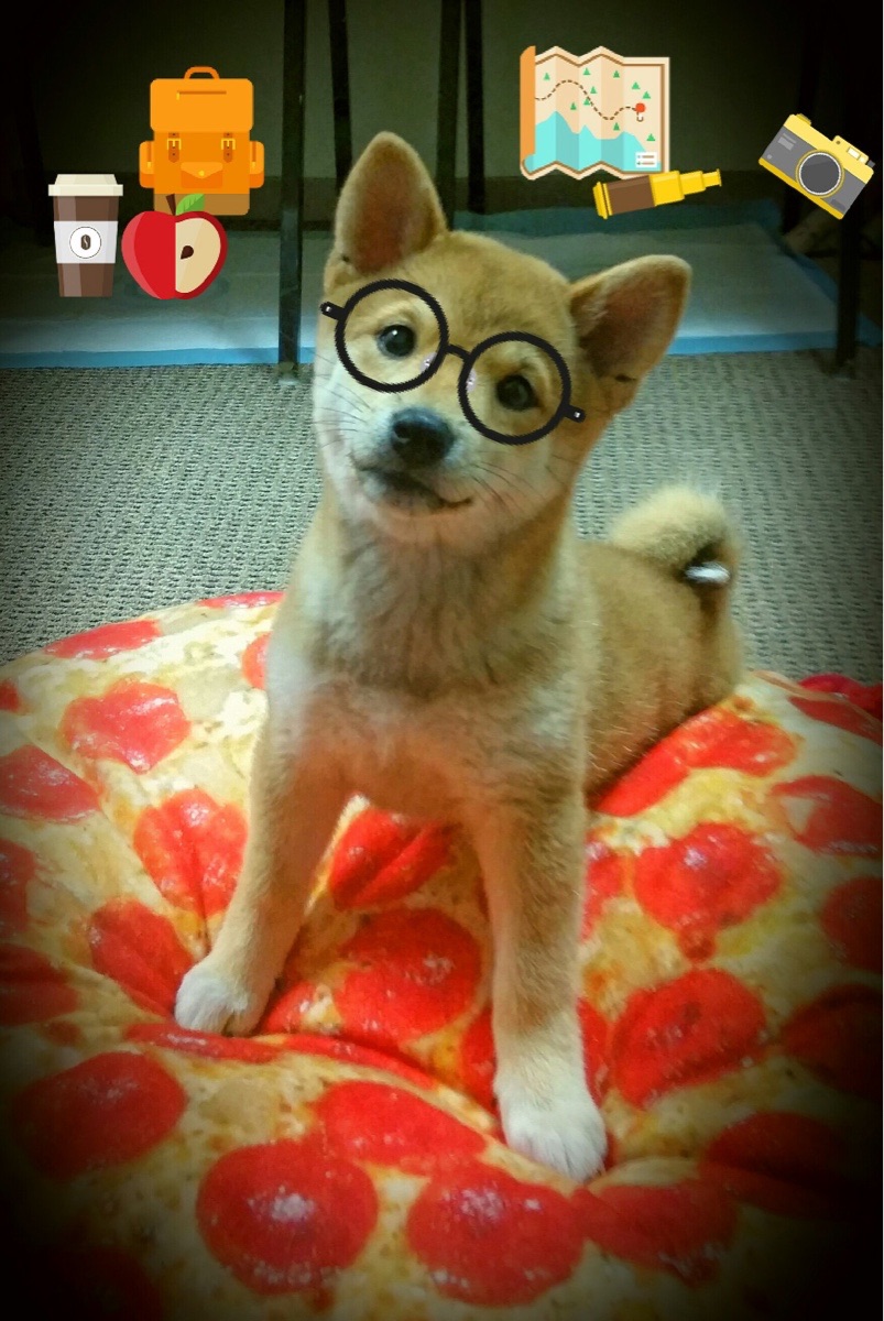 俱乐部冠军杯官网-爵士球队防守端整体表现优异，爵士防守哈登图片