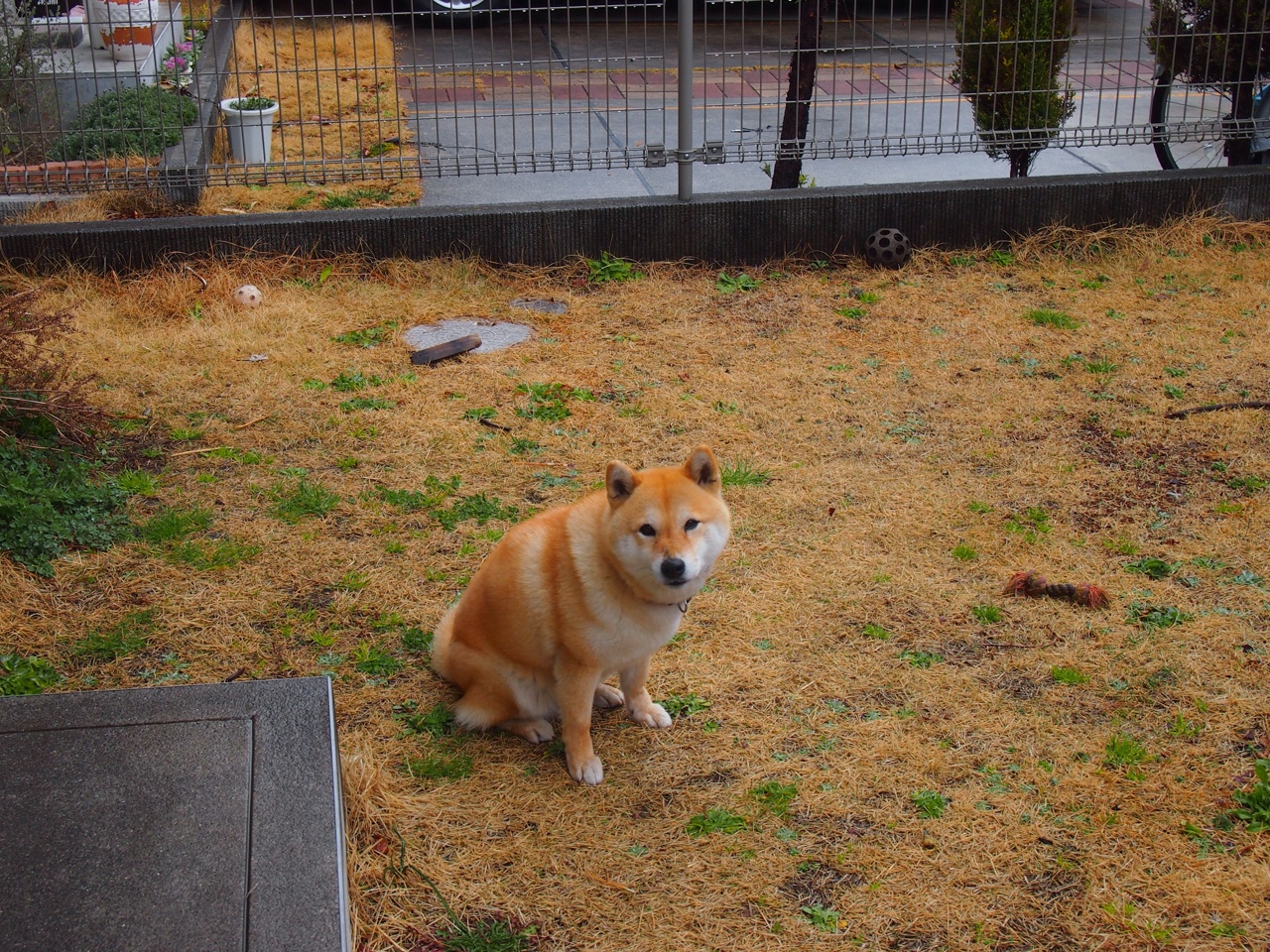 电竞教练战术分析报告,电竞教练战术分析报告怎么写
