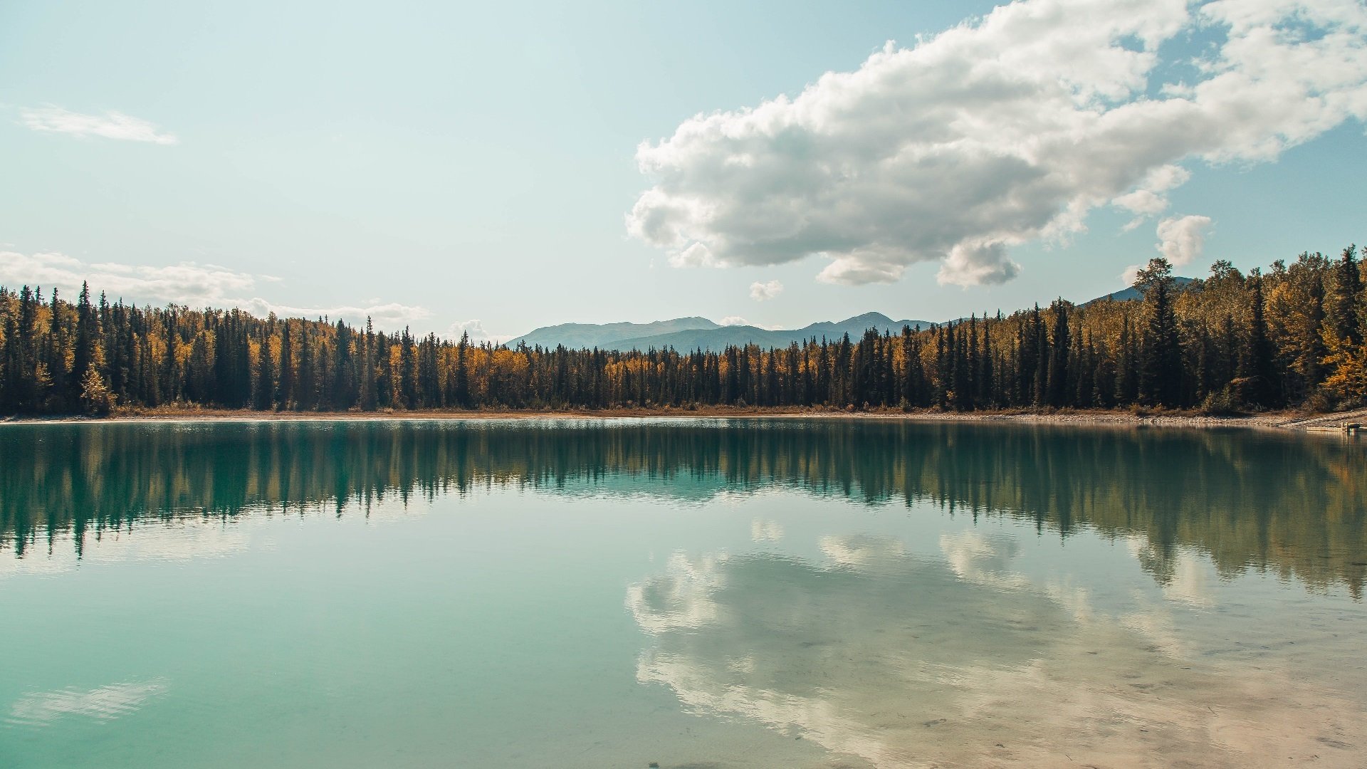 世俱杯专业体育赛事直播平台-皇马对阵拜仁慕尼黑，比赛激烈胜负难定！，皇马对拜仁4比0