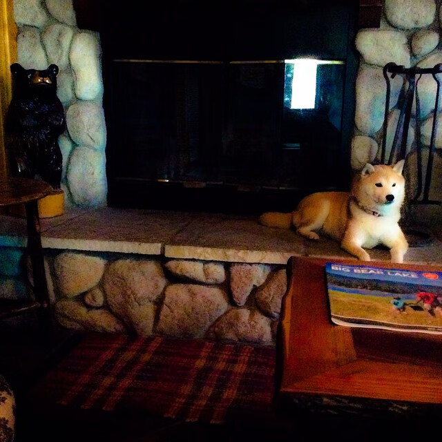 世俱杯直播在线观看免费-葡萄牙炮手梅开二度，领衔攻击线，葡萄牙的枪