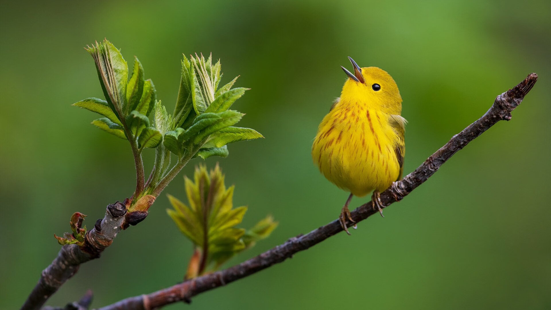 韩国可持续发展战略获联合国点赞,韩国可持续发展三大战略