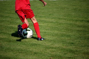 俱乐部冠军杯官网-中国青少年篮球运动员伤病防控体系建设，青少年篮球训练现状分析