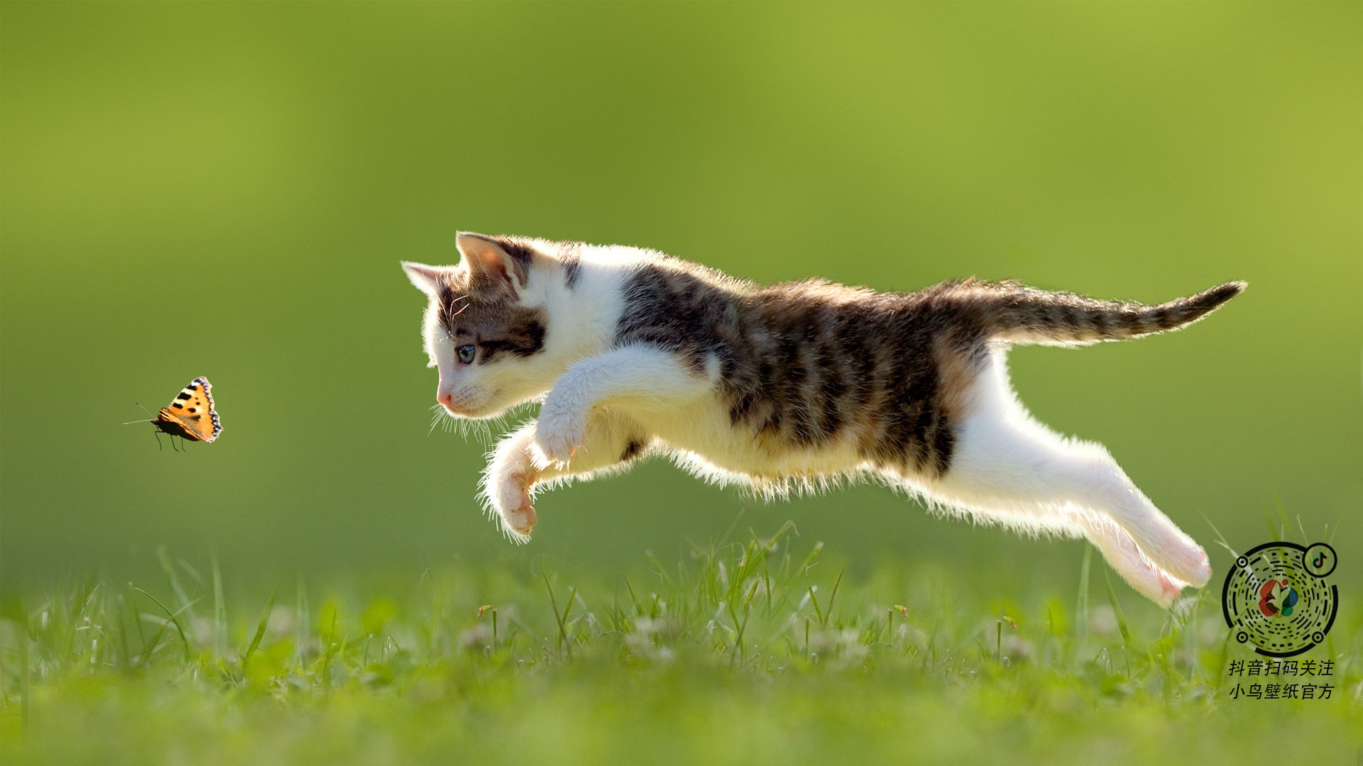 世界俱乐部杯-运动装备生产技术改进，运动装备的重要性