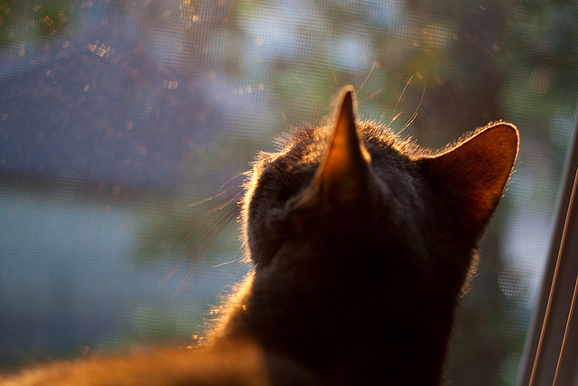 世俱杯专业体育赛事直播平台-五大联赛是否通过对位封锁提升前场逼抢成功率，五大联赛过人