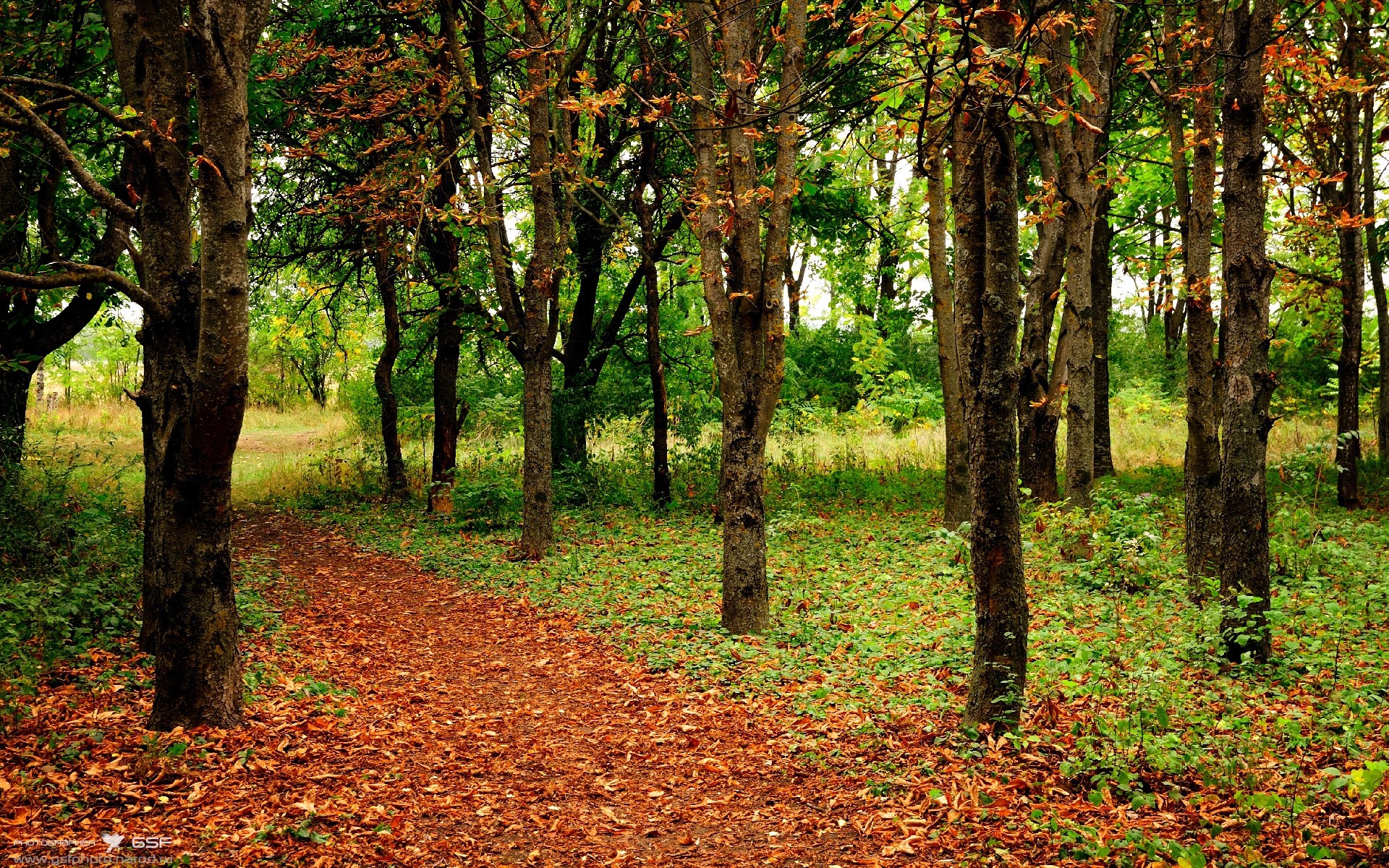 体育新闻中心主办体育文化传播数字化转型论坛,数字体育产业