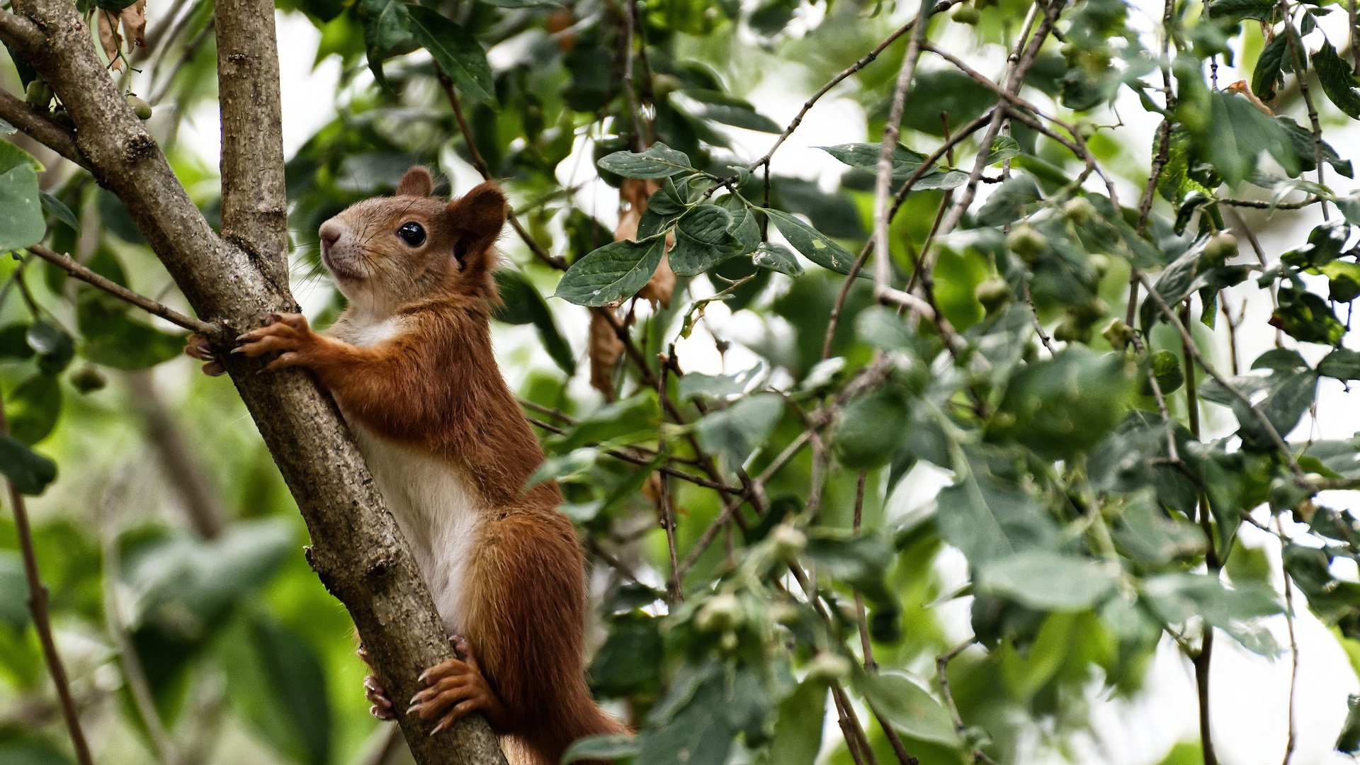 体育培训机构行业规范标准正式实施,体育培训机构需要什么许可证
