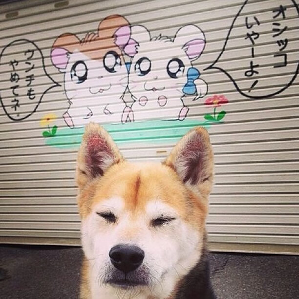 国际米兰双边路推进打穿对方防线,米兰边路球员