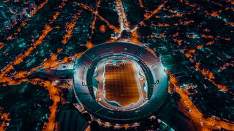 世俱杯-埃及队未来规划：全方位打造高水平乒乓队伍，埃及乒乓球男团名单