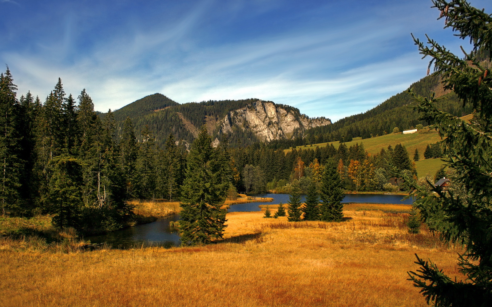 德国队前景展望:如何在国际乒联混合团体世界杯中崭露头角,德国队乒乓球男团名单
