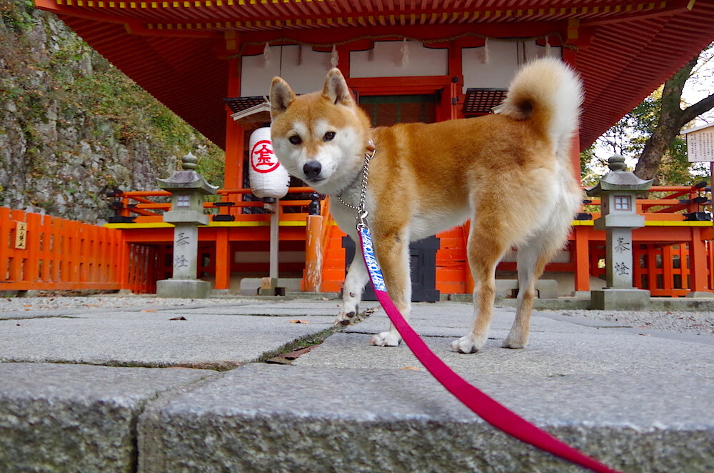 世俱杯官网-心理辅导体系缺失影响球员发挥，心理疏导不到位的原因分析及整改措施