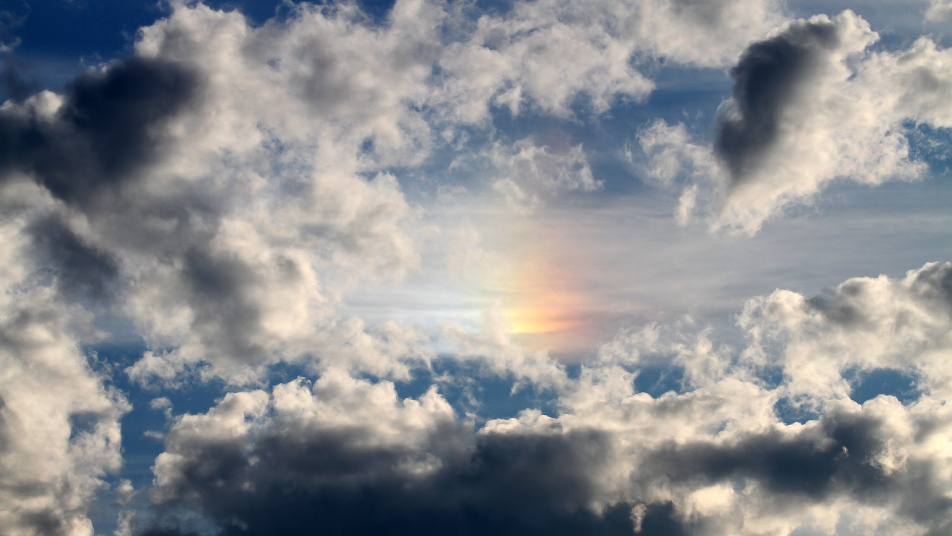 “亚戈·卡尔曼的强硬风格与全面技术,让美洲狮队在世界赛场中称霸”