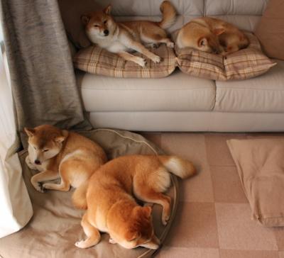 世界足球先生候选名单出炉，巨星云集，世界足球先生入围名单出炉