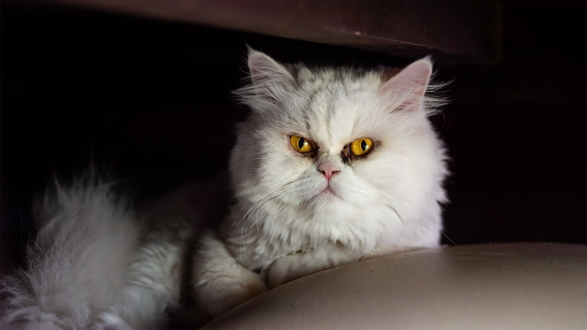 博茨瓦纳男篮在非洲预赛中奋勇拼搏,期待新突破