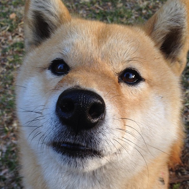 世俱杯入口-卡萨斯泳姿流畅动作完美，卡萨斯弱什么